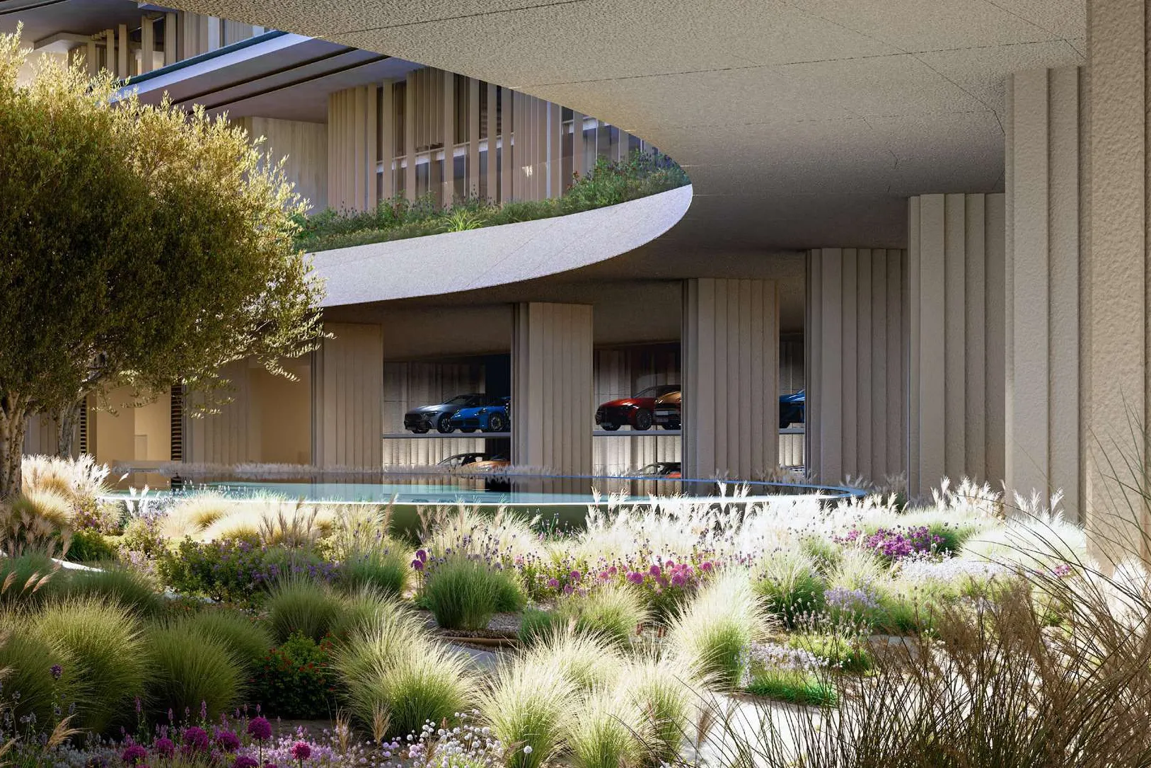 Arrival garden with olive tree, water feature and glass-fronted car gallery